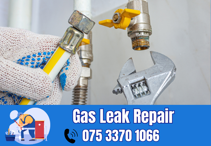 gas leak repair Medway