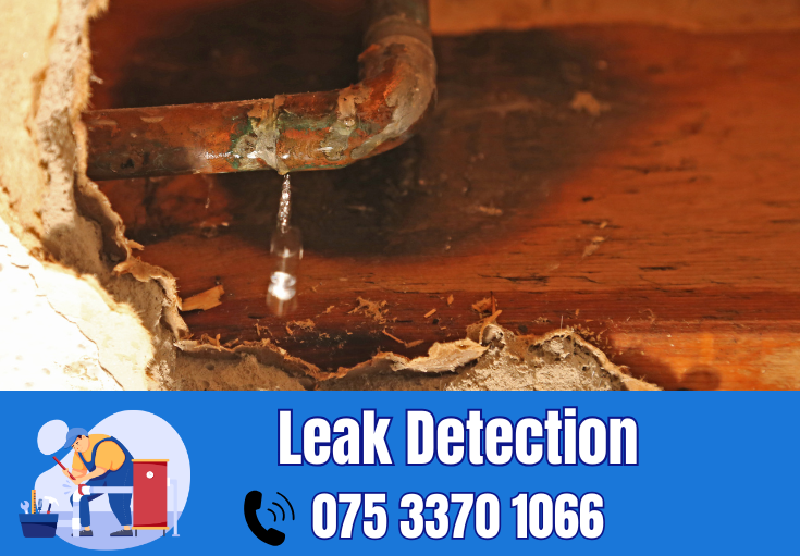 leak detection Medway