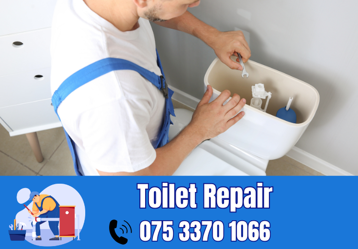 toilet repair Medway